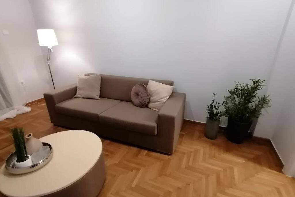 Athens City Apartment Next To Intercontinental II エクステリア 写真